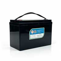 Paquete de Baterías LiFePO4 de 48V 100Ah de Fábrica con BMS Inteligente, 5000 Ciclos, Batería de Litio para Carrito de Golf, Montacargas y Almacenamiento de Energía en Exteriores
