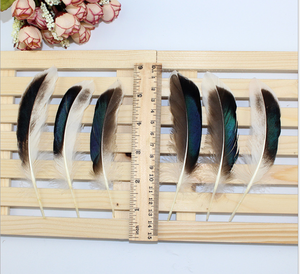 Pluma de pato gris Natural teñida <span class=keywords><strong>para</strong></span> manualidades, tocado DIY, <span class=keywords><strong>sombrero</strong></span>, accesorio de disfraz, fiesta de <span class=keywords><strong>carnaval</strong></span>, boda, hogar, decoración de Halloween - Product Image 3