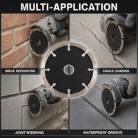 Disque de pointage diamanté à pression à froid pour mortier, pour le déjointage et la réjointage des murs en briques, kit d'outils, boîte d'outils OEM
