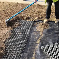 Grille en herbe HDPE recyclée de style industriel, grille en herbe efficace pour le contrôle de l'érosion et l'aménagement paysager des parcs