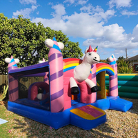 Château gonflable et trampoline en PVC de haute qualité personnalisés pour enfants, installation facile, utilisation intérieure/extérieure, 5x5m
