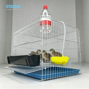 Système <span class=keywords><strong>de</strong></span> cages modulaires <span class=keywords><strong>de</strong></span> qualité professionnelle pour l'élevage, compatible avec les cailles, les perdrix, les pigeons et les petites espèces aviaires, y compris les poulets <span class=keywords><strong>de</strong></span> type Rutin. - Product Image 1