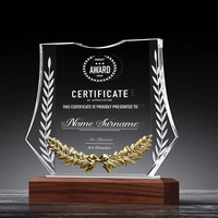 Trophée de récompense en cristal haut de gamme personnalisé HBL avec base en bois pour événements d'entreprise et souvenirs