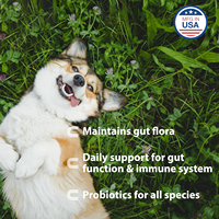 Complément alimentaire en poudre probiotique pour chiens et chats - Absorption rapide, soutien immunitaire, santé digestive, vitamines, minéraux, santé de la peau et du pelage