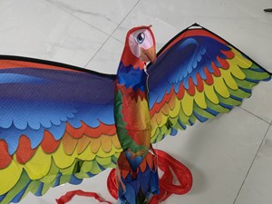 <span class=keywords><strong>Cerf</strong></span>-<span class=keywords><strong>volant</strong></span> perroquet 3D et nouveaux cerfs-volants <span class=keywords><strong>d</strong></span>'oiseaux de conception - Product Image 4