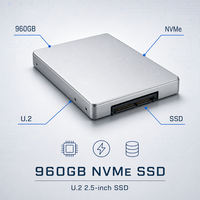 Disque SSD NVMe U.2 960 Go pour serveur, montage en rack, centre de données, stockage à échange à chaud