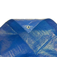 Usine vendant une bâche en plastique de bâche de Pe imperméable bleue de haute qualité résistante aux intempéries de Chine