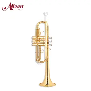 AileenMusic Professional Entry Grade for Beginner C Key Brass Body Trumpet (TP-S4360G)