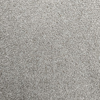Factory100 % Polyester Boucle Polaire Boucle Velours En Peluche Solide Couleur Teddy Canapé Hometextile Nouveau Design Imprimé Flanelle Tissu