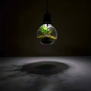 Шарик для выращивания растений - Product Image 4