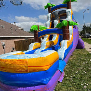 Toboggan aquatique gonflable commercial personnalisé en forme de palmier, château gonflable, toboggan aquatique gonflable sec et humide pour jardin <span class=keywords><strong>avec</strong></span> <span class=keywords><strong>piscine</strong></span> - Product Image 1