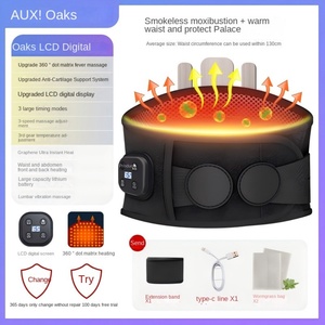 Ceramic Heating Waist Massage Belt with Constant Temperature Hot Compress for Physiotherapy-<b>Small</b> Gift - Product Image 6