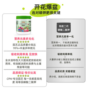 Engrais au phosphate de dihydrogène de potassium, pureté 99,6 %, pour fleurs, arbres fruitiers, légumes, roses, utilisation foliaire - Product Image 2