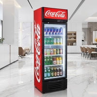 Réfrigérateur vertical commercial pour boissons avec porte vitrée, certifié CE, économe en énergie, personnalisable