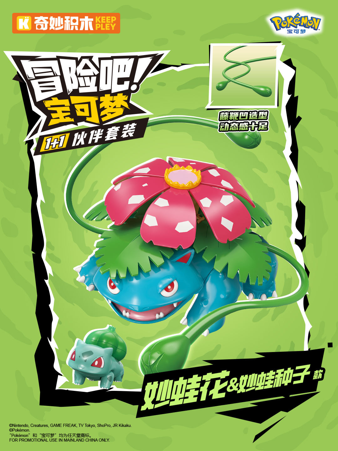 Bulbasaur et Ivysaur K20250