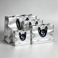 Sacs en papier argentés brillants en gros à prix abordable, sacs en papier argentés personnalisés avec logo, sacs pour vêtements