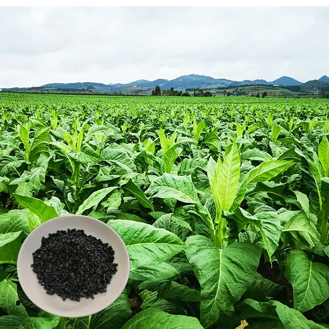 الصين Humate 30% خصم 5% K2O سماد حيوي المغذيات النباتية امتصاص محسن الدبالية حمض الأسمدة العضوية