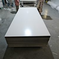 Panel de Pared de Primera Calidad, Núcleo de SPC Coextruido, Laminado PUR con Acabado de Madera PET, para Baño, Cocina, Ducha y Áreas Húmedas