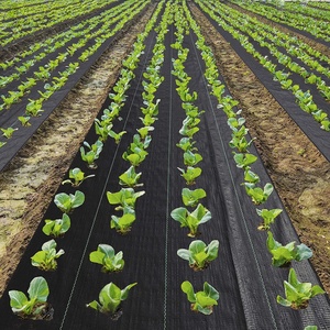 Anti weed mat nero pacciamatura materiale polipropilene agricoltura agricoltura erbaccia barriera blocco tessuto