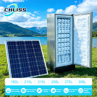 Congélateur vertical solaire 198L 11 niveaux, machine à glaçons DC hors réseau, congélation rapide pour îles et zones éloignées