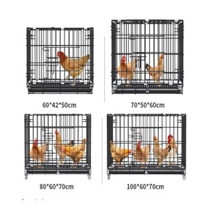 60X42X52cm sélection automatique ferme clôture poule métal maille oeuf poulailler pour élevage de volailles et maison poule poulet Cage - Product Image 6