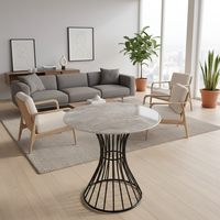 Meubles de loisirs, meubles de salle à manger, table basse moderne simple et compacte pour salon, balcon, appartement, espace de luxe moderne et restreint