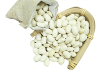 Haricots Blancs Chinois Séchés en Gros, Qualité Alimentaire, Non-OGM, Haricots Cannellini