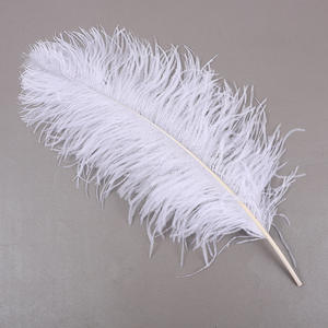Plume d'autruche plumes d'autruche colorées 70-75cm pour la décoration de robes de mariée de fête - Product Image 6