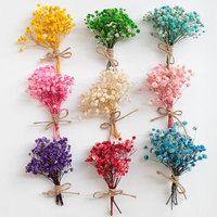 Bouquet de Petites Fleurs Séchées Naturelles, Véritable Toucher, Pampas et Palmiers Conservés, pour Décoration de Maison et Mariage - Vente en Gros
