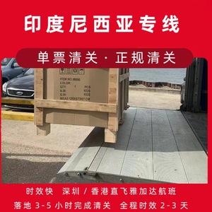 Línea de Transporte Aéreo de Shenzhen Junfei Logistics Indonesia, Carga General de Shenzhen a Indonesia, Envío Individual, Despacho de Aduanas - Product Image 5