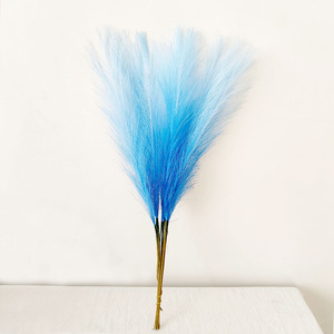 Décoration de mariage, grandes plumes de pampa séchées colorées, fleurs de pampa séchées naturelles, herbe - Product Image 6