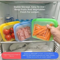 EU-gecertificeerde LFGB-goedgekeurde Pure Platinum Silicone 3000ML grote capaciteit fruit- en groentevochtbestendige opbergzak