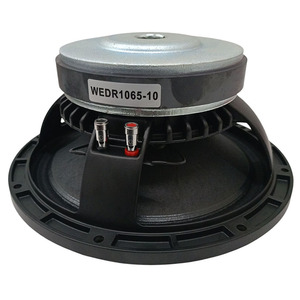 Altavoz Profesional Woofer de 10 Pulgadas, 8 Ohmios, 300W - Product Image 3