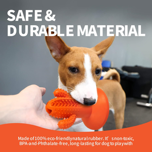 AFP <strong>Wholesale</strong> Nylon Rubber Dog <strong>Chew</strong> Cactus Bone Sticks <strong>Durable</strong> TPR Dental Teeth Clean <strong>Pet</strong> <strong>Chew</strong> <strong>Toys</strong> for Long-lasting Chewing Fun - Product Image 3