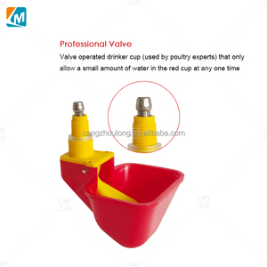 <span class=keywords><strong>Bebederos</strong></span> Automáticos <span class=keywords><strong>para</strong></span> Pollitos de un Día, Modelo YYB LM36, de Plástico, <span class=keywords><strong>para</strong></span> Cría de Aves de Corral - Product Image 4