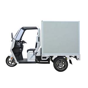 <span class=keywords><strong>Triciclo</strong></span> Eléctrico EEC 2021, <span class=keywords><strong>Triciclo</strong></span> de Carga de Tres Ruedas en Oferta - Product Image 2