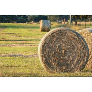 Chất lượng cao HDPE Vòng <span class=keywords><strong>Bale</strong></span> & ủ chua bọc <span class=keywords><strong>Net</strong></span> mật độ cao lưới nhựa - Product Image 2