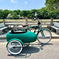Side Car Pedal Assist Bike Sidecar to Carry Pets Electric Fat Tire Tricycle Electric Bike 3 Wheel