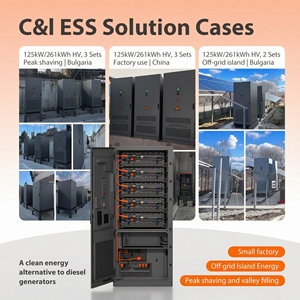 Système industriel et commercial de stockage d'énergie haute tension BESS 100kWh 215kWh Armoire extérieure 261kWh Batterie LiFePO4 372kWh - Product Image 2