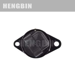 Vannes de ralenti 17103313 17113386 21007019 AC133 AC61 2H1300 - Product Image 4