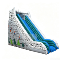 FAN BOUNCE Glissade Gonflable Sèche Grise pour Jeu d'Équipe, Utilisation Extérieure, Domestique et Commerciale, Matériau PVC