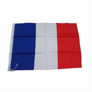 Drapeaux en polyester de grande taille personnalisés avec logo, imprimés en sérigraphie, pour les équipes de cheerleading et les événements - Product Image 5