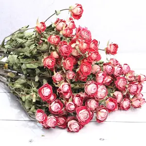 Multi testa essiccata fiore di rosa singola testa essiccata Bouquet di <span class=keywords><strong>Rose</strong></span> rosa bolla decorazione produttore all'ingrosso - Product Image 2