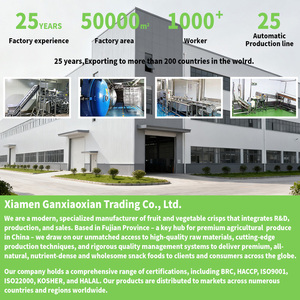 Fette di Pesca Liofilizzate Naturali OEM, Confezione Grande, Snack per Bambini, Dolci e Croccanti, Verdure Essiccate Profumate, Frutta Secca - Product Image 3