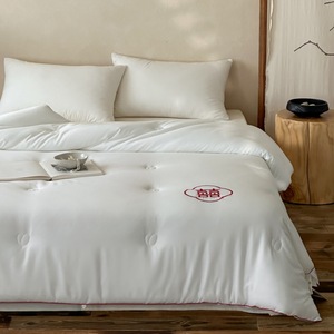 Aolei Wedding <b>Quilt</b> Tencel Cotton Embroidered 4-5 Jin Four Seasons Home Use - Product Image 5