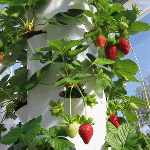 Venta de Fábrica: Sistema de Torre de Cultivo Vertical Aeropónico de 12 Niveles, 6P, 72 Orificios de Plantación, Tanque de Agua de 60L, Sistema Hidropónico Vertical - Product Image 6