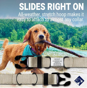 Targhetta Personalizzata <span class=keywords><strong>per</strong></span> Animali Domestici, Set Regalo alla Moda con Nome e Telefono Incisi <span class=keywords><strong>per</strong></span> Cani e <span class=keywords><strong>Gatti</strong></span> - Product Image 4