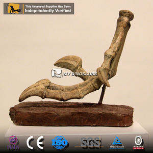 Dinosaurio Educativo My Dino DS055, Fósil de Dinosaurio Prehistórico, Modelo de Esqueleto de Velociraptor con Garras, en Venta - Product Image 3