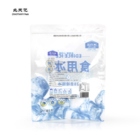 1kg Sac en plastique pour glaçons Pochette à fermeture éclair pour glaçons en plastique transparent