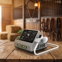 Appareil de thérapie par ondes de choc piézoélectriques focalisées pour la rééducation vétérinaire des chevaux, chiens, et des tendons (calcification, arthrite) – 3 modes